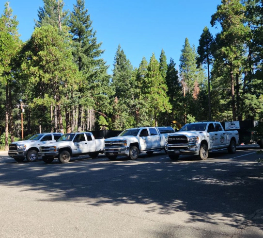 company vehicles lined up