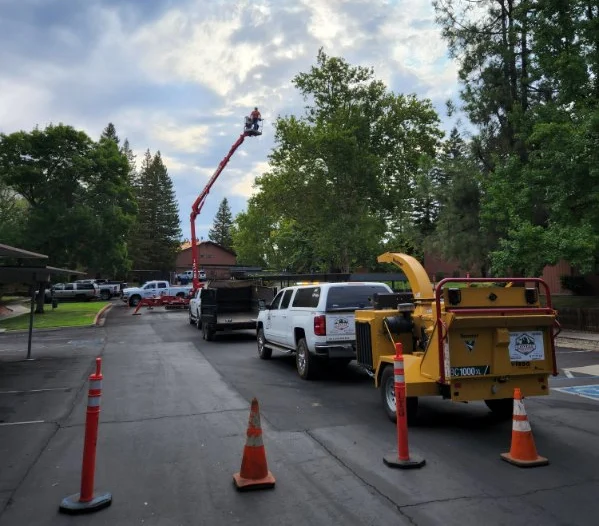 road block for tree removal project