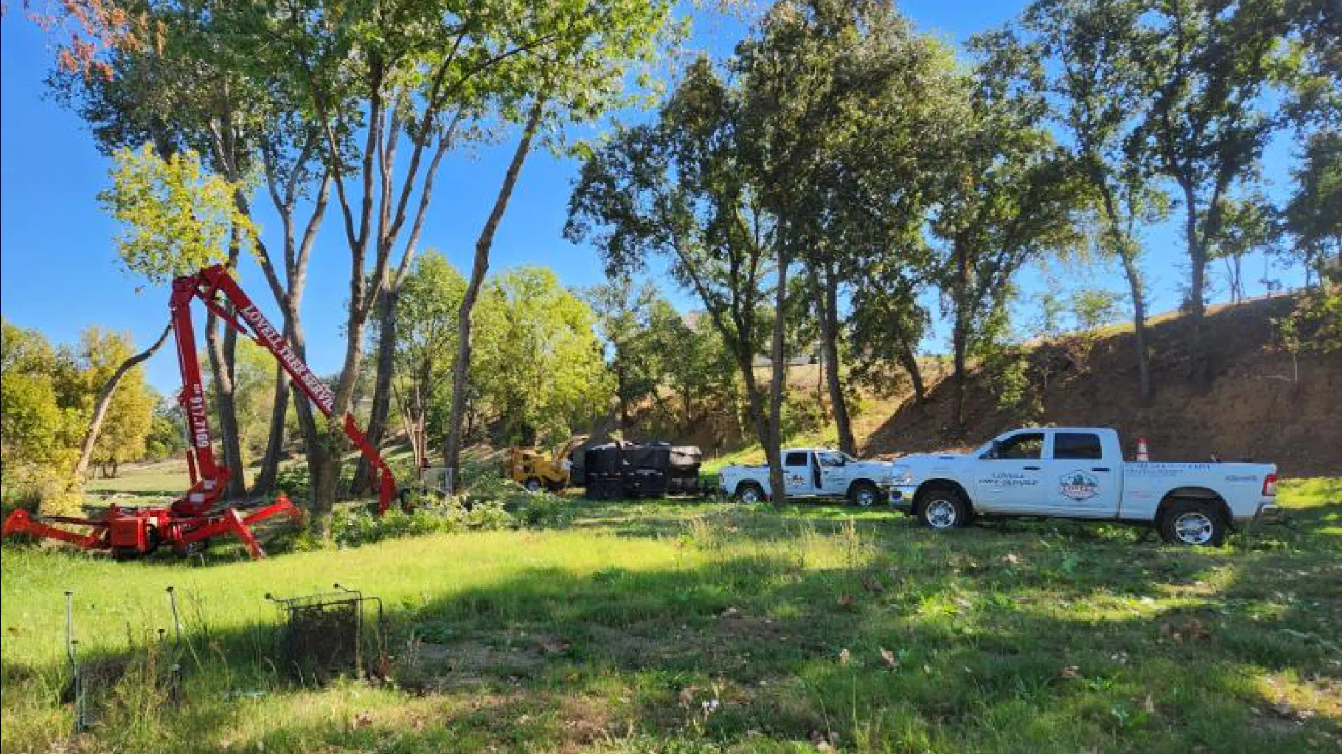 tree arbory equipment and vehicles parked